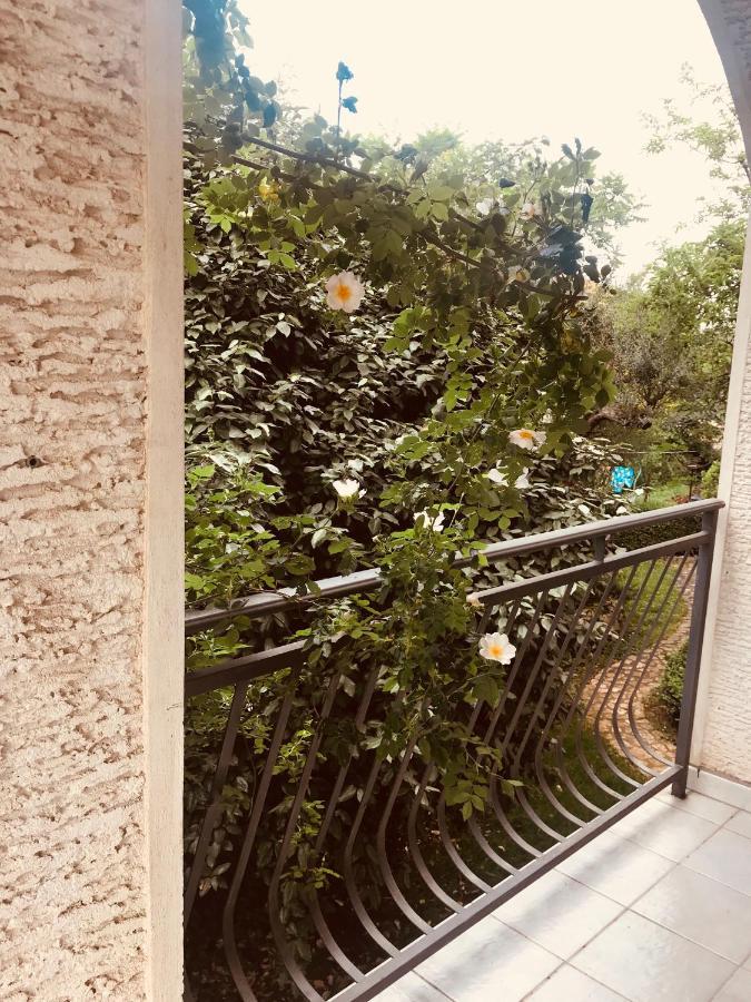 B. Ela Rooms Porec Exterior photo